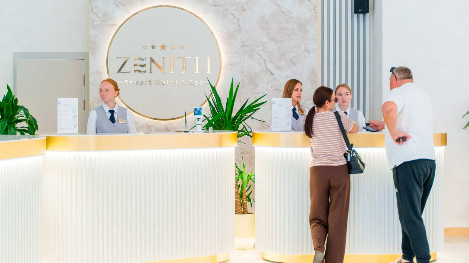 Zenith company creative